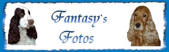 Fantasys Fotos