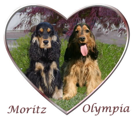moritz-olympia-herz